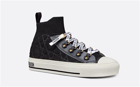 christian dior sneakers hoog|Christian Dior sneakers for ladies.